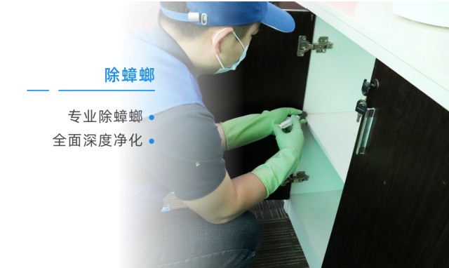 灭蟑螂